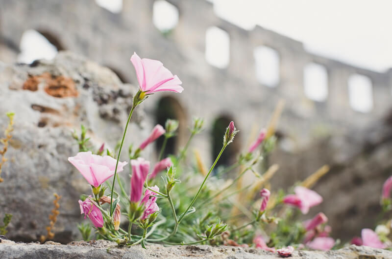 Nature and stone